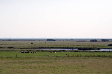 Mando 'dan geçen traktör