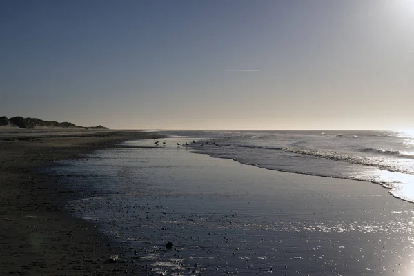 Deense Noordzee kust — Stockfoto