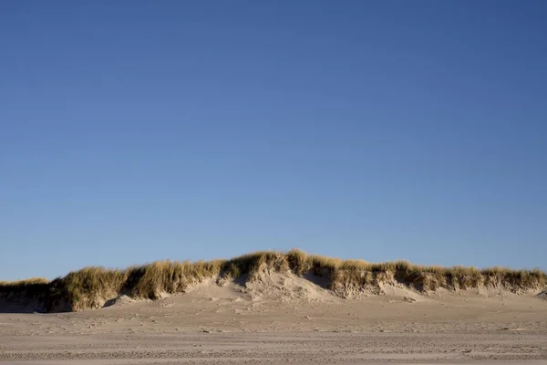 丹麦的沙丘天空蓝 — 图库照片