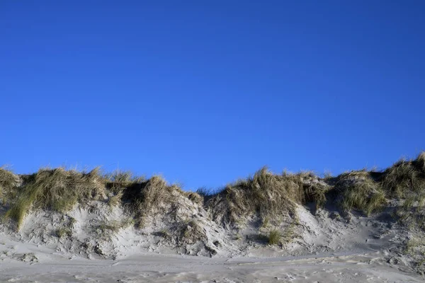 デンマーク砂丘スカイブルー — ストック写真