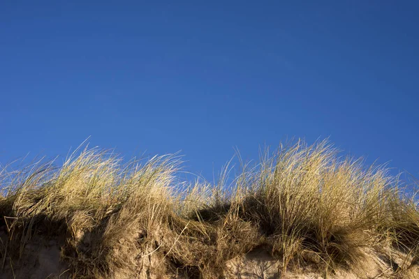 デンマーク砂丘スカイブルー — ストック写真