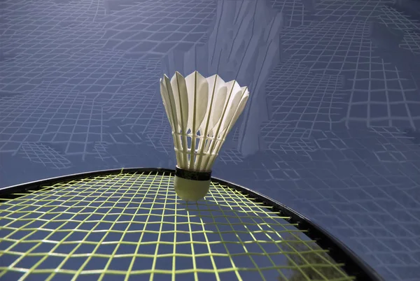 Closeup Badminton Sport — Stockfoto