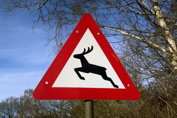 Deer sign closeup — Stock Photo, Image