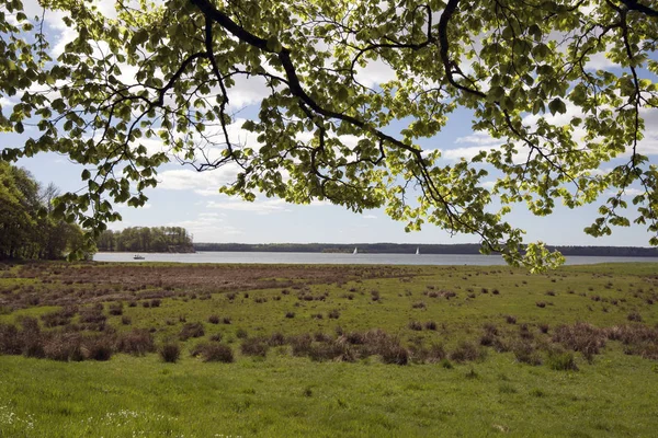 Våren dansk kystlinje – stockfoto