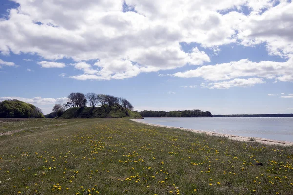 Frühling an der dänischen Küste — Stockfoto