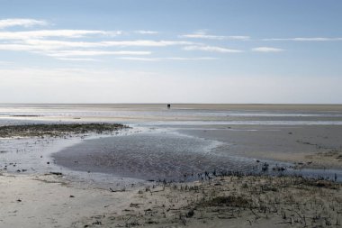 Wadden Denizi beach