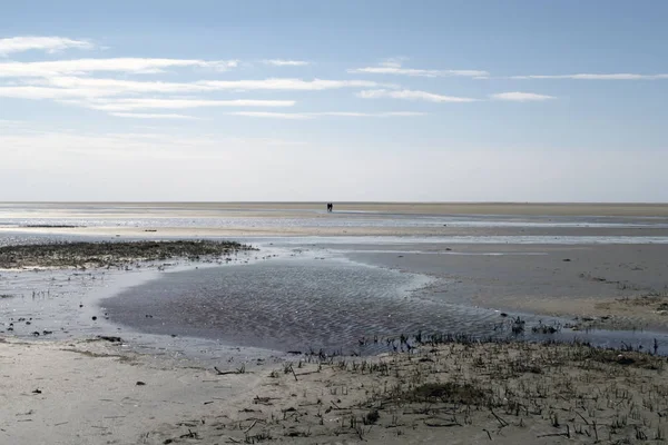 ワッデン海のビーチ — ストック写真