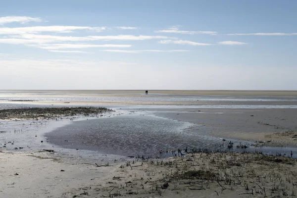 Wadden Sea beach — Stock Photo, Image