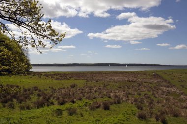 Bahar Danimarka kıyı şeridi