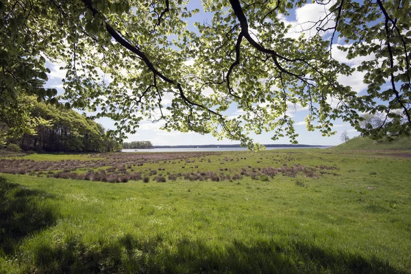 Lente Deense kust — Stockfoto