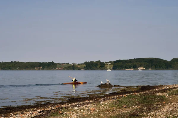Kayaker and sea gulls — Stock Photo, Image
