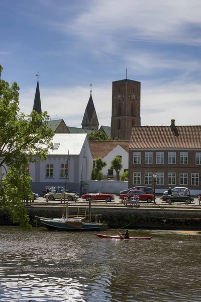 Ribe ein sonniger Tag — Stockfoto