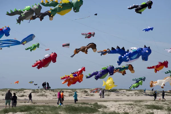 Colorful dragon kites in the air — Stock Photo, Image