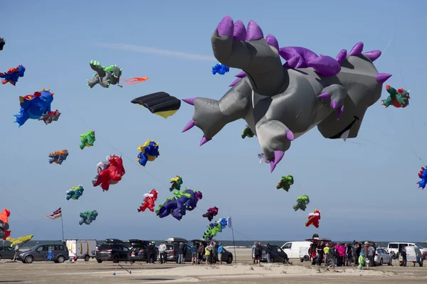 Kleurrijke dragon vliegers in de lucht — Stockfoto