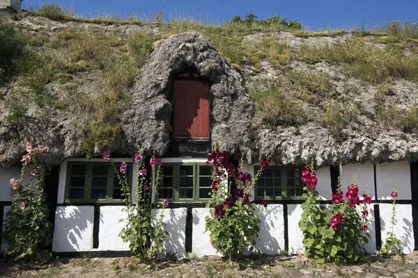 Wodorosty dachu farm — Zdjęcie stockowe