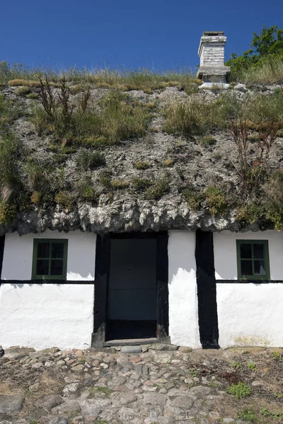 Seaweed roof farm clloseup — Stock Photo, Image