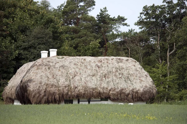 Tång tak gård — Stockfoto