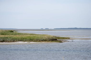 Kıyı şeridi manzara Laesoe