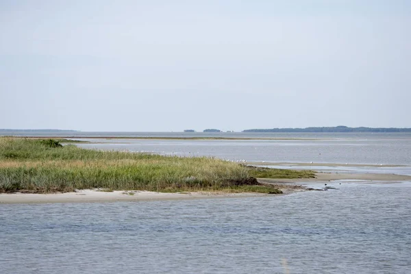 Kıyı şeridi manzara Laesoe