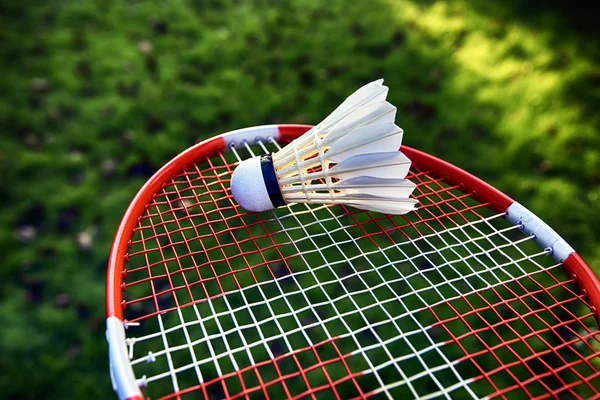 Badminton v gaden — Stock fotografie