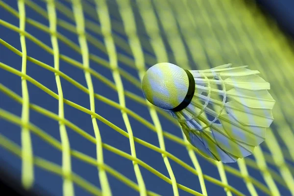 Badminton fantezi her yerde — Stok fotoğraf