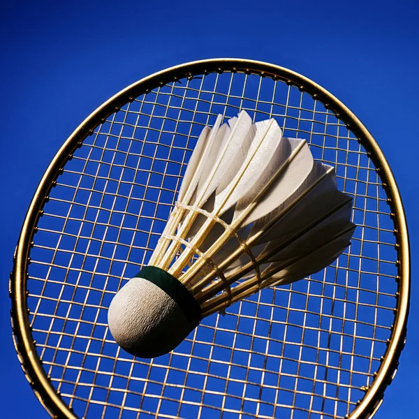 Artystyczny badminton akcji — Zdjęcie stockowe