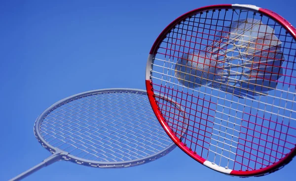 Konstnärliga badminton åtgärd — Stockfoto