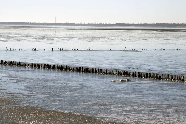 Nationalparken danska Wattenmeer — Stockfoto