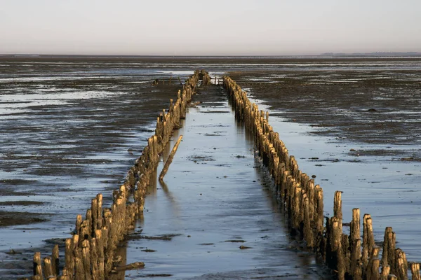 Danish Wadden sea national park — Stock Photo, Image