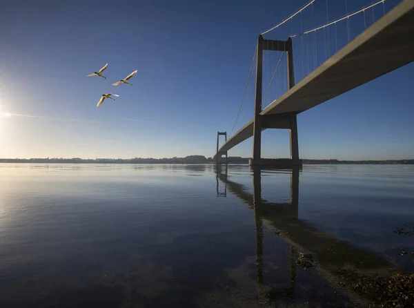 Himmelsblå danska hängbro — Stockfoto