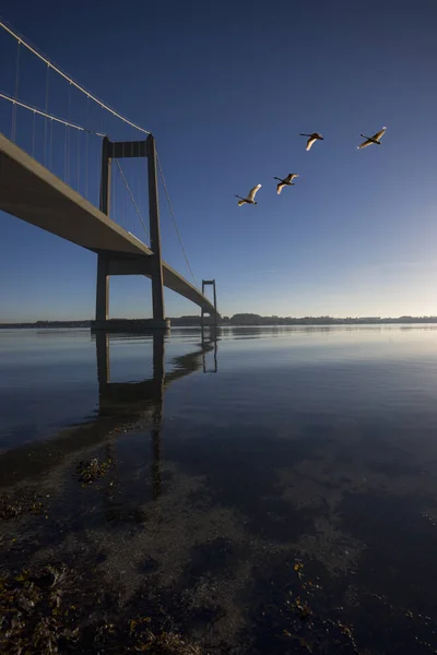 Ponte sospeso danese celeste — Foto Stock