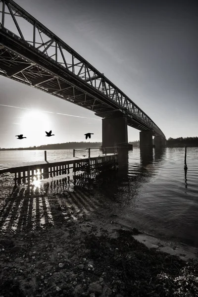 Gęsi i most w Danii — Zdjęcie stockowe