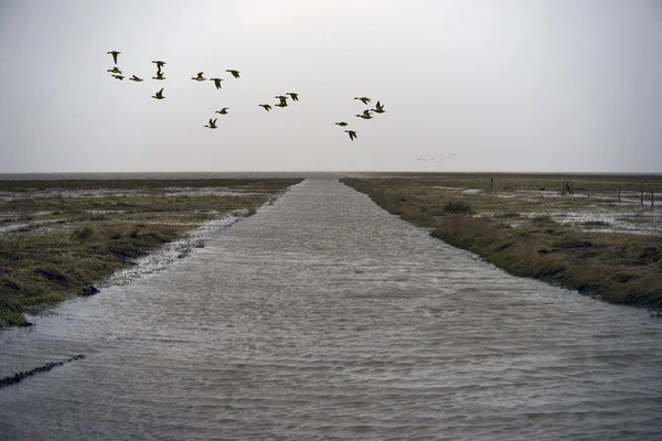 在丹麦的曼达洛岛上的高潮堤道. — 图库照片