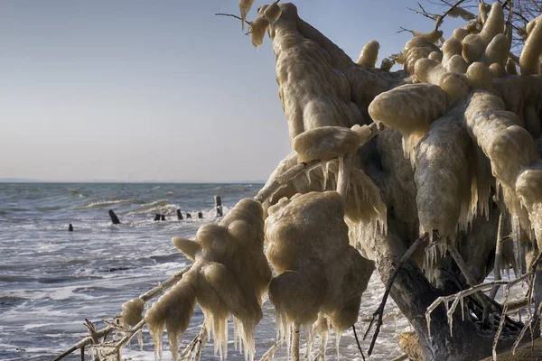 Paesaggio costa invernale danese con ghiaccio — Foto Stock
