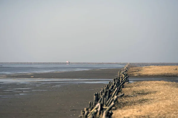 Danska delen av nationalparken Vadehavet havet — Stockfoto