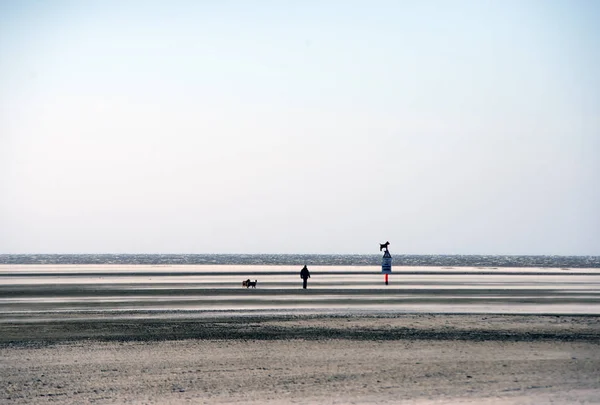 Cold Clear Windy Day Big Beach Sankt Peter Ording German — Stock Photo, Image