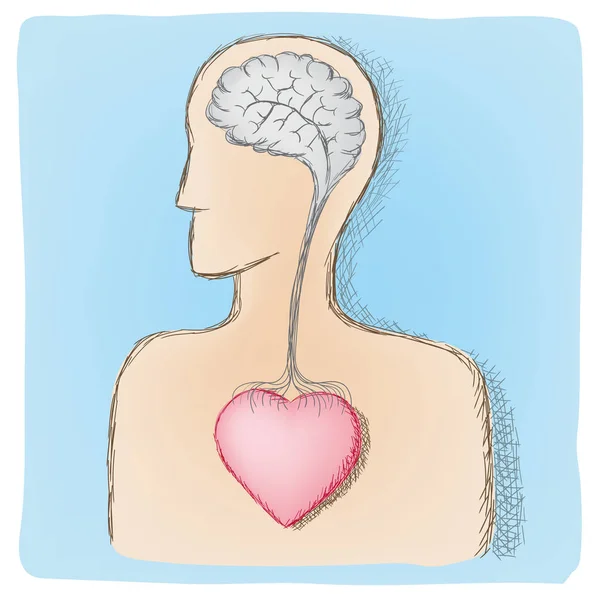 Κεφάλι και η καρδιά συνδέεται όργανα — Διανυσματικό Αρχείο