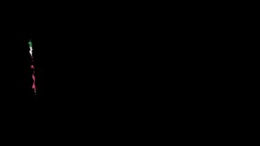 Surinam bayrağı fırça darbesiyle boyanmış