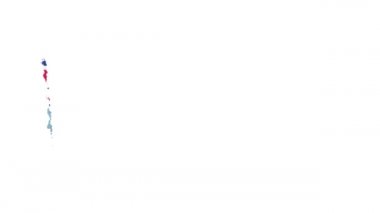 Tuvalet bayrağı fırça darbesiyle boyanmış.