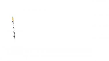 Güney Afrika bayrağı fırça darbesiyle boyanmış