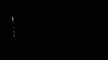 Güney Afrika bayrağı fırça darbesiyle boyanmış