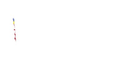 Svaziland bayrağı fırça darbesiyle boyandı