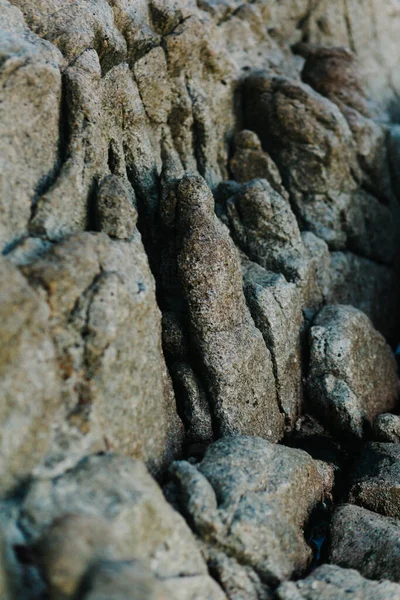 Closeup View Grey Rock Background — Stock Photo, Image