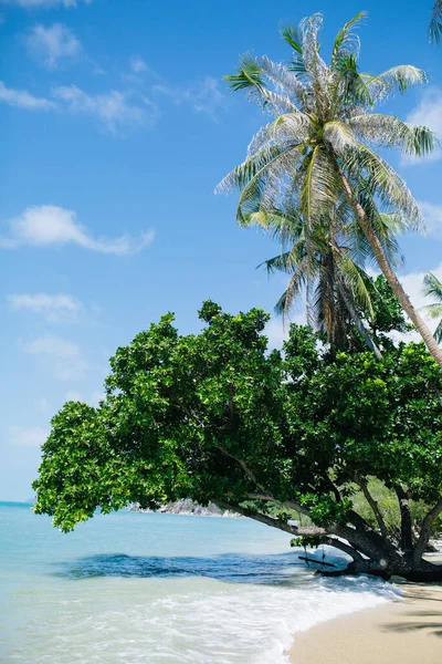 Schilderachtig Uitzicht Blauw Tropisch Strand Stockfoto