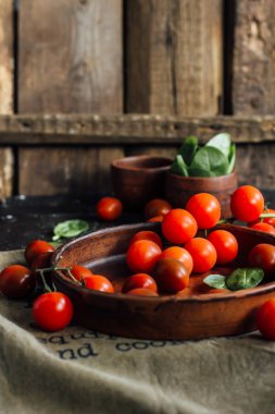 Tabakta vişneli domates dalı. 