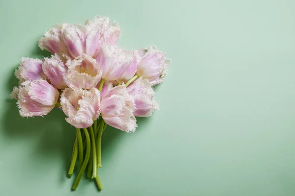 Tulipas Fundo Verde Conceito Dia Dos Namorados Dia Internacional Mulher — Fotografia de Stock