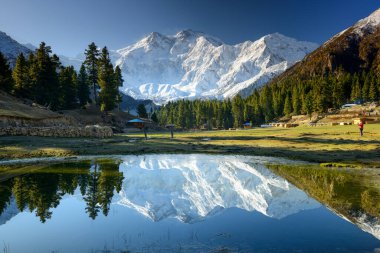 Nanga Parbat reflected in a pond at Fairy Meadows. The world's ninth highest mountain towering above idyllic alpine scenery in Northern Pakistan. clipart