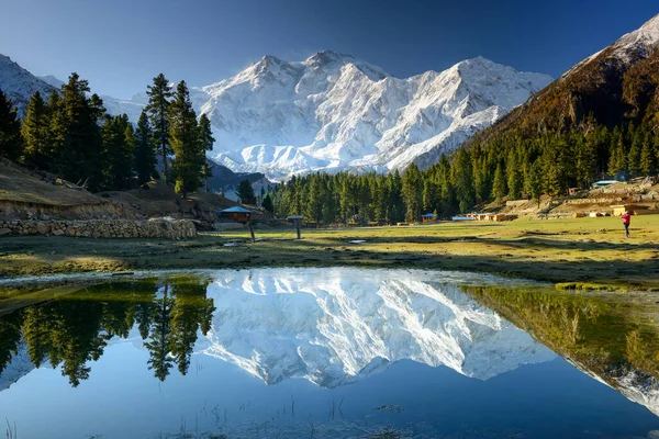 Nanga Parbat Odbity Stawie Fairy Meadows Dziewiąta Najwyższa Góra Świata — Zdjęcie stockowe