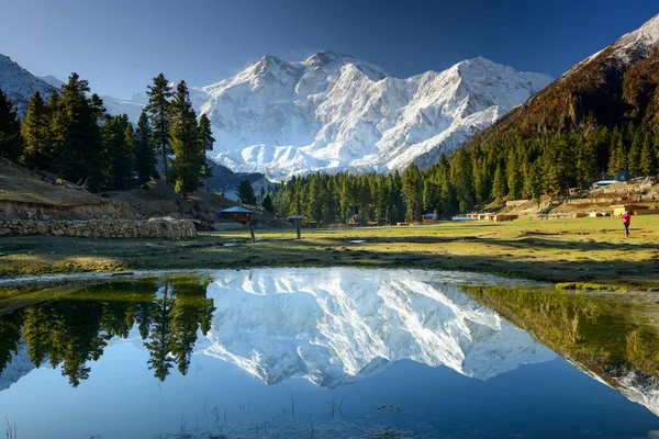 Nanga Parbat, Peri Çayırı 'ndaki bir gölete yansıdı. Dünyanın dokuzuncu en yüksek dağı Kuzey Pakistan 'daki cennet gibi dağlardan yükseliyor..