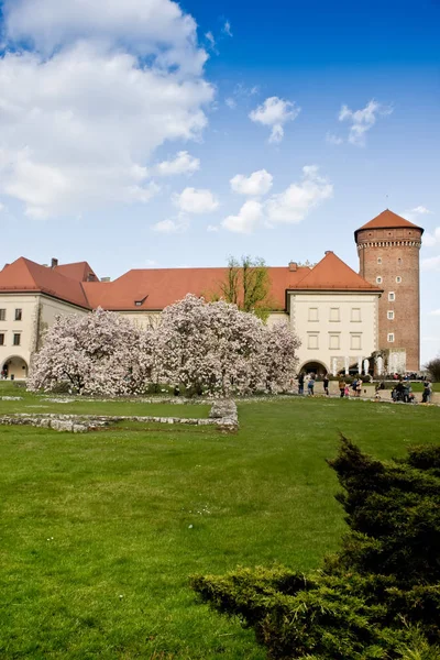 Château de Wawel — Photo